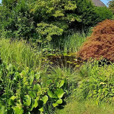 Flurgarten * Langenargen