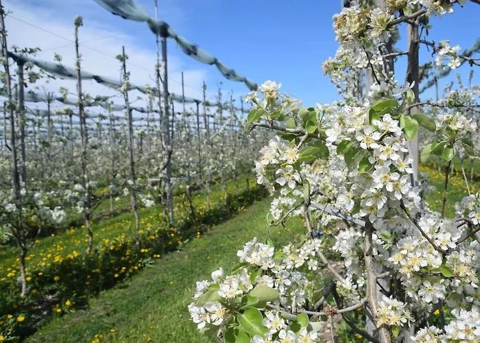 Apartamento Flurgarten *
