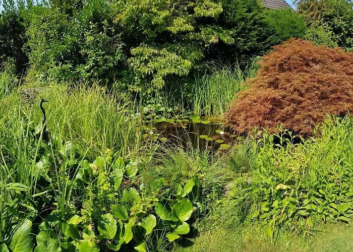 Flurgarten * Langenargen